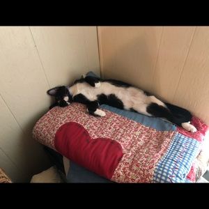 Meet your Posher, Debra